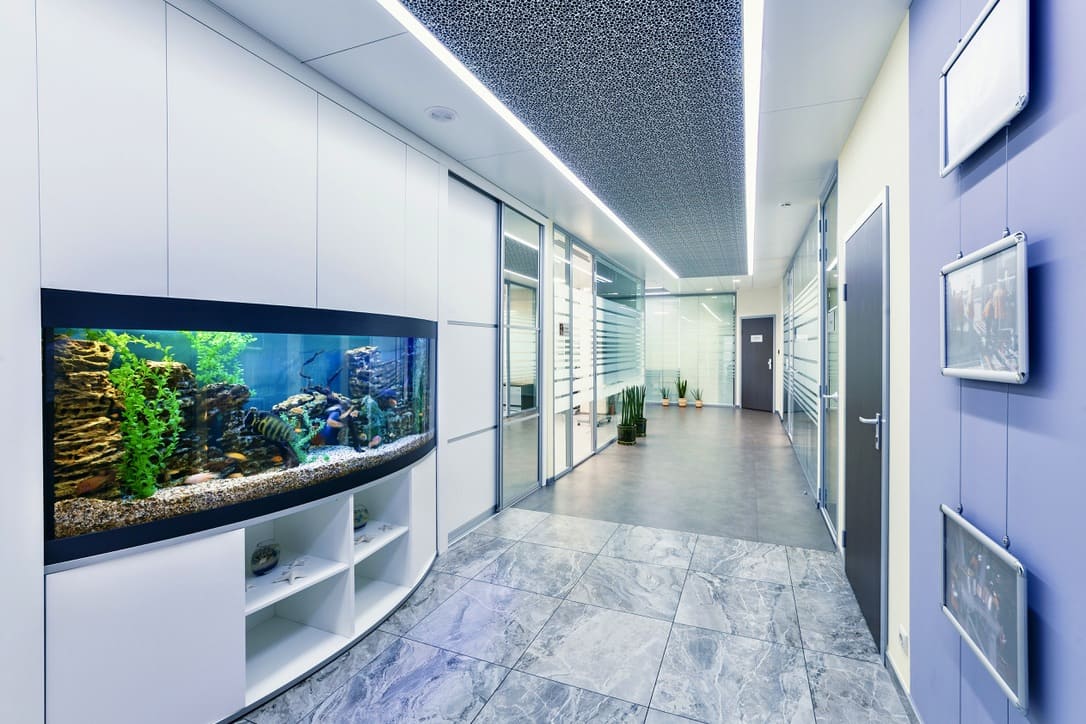 Капитальный ремонт офисов